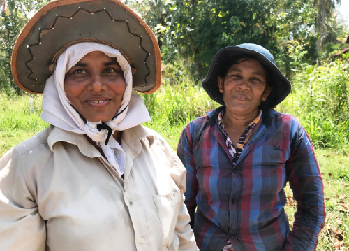 Vector Smart Object-3 Vector Smart Object-3